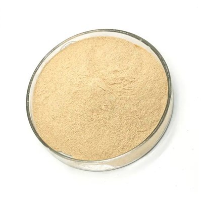 Resveratrol CAS 501-36-0 výťažok z kríčkovitej trávy (štandardný) resveratrol